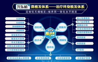 探索深圳植發補發技術 高清圖片揭示效果，北京科發源的投資管理視角